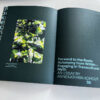 in between water – 두물마을 – Bild 5